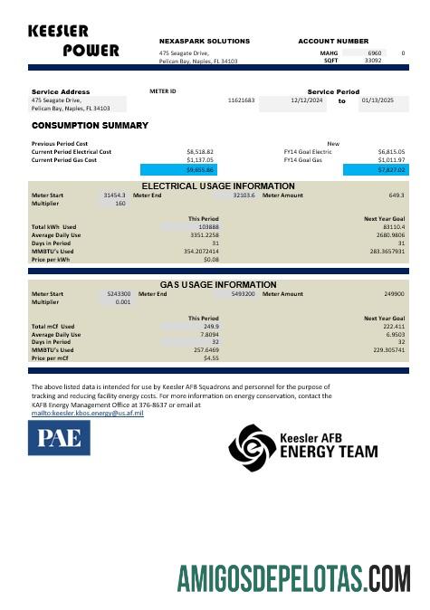 Em branco modelo de conta de serviços públicos de energia da Base Aérea Mississippi Keesler dos EUA em formatos Word e PDF